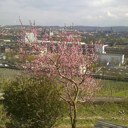 Quartier Lindleinstrasse Lägenhet